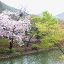 벽계 Daum카페