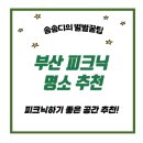 풀내음쉼터 | 부산 봄 피크닉 명소 추천. 직접 다녀온 5곳 후기와 꿀팁 총정리!