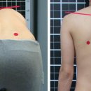 부산뽀빠이정형외과의원 이미지