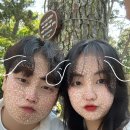 댕컷 네이버블로그