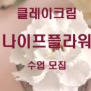 모모쥬빌레