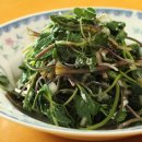 순이네농장 | 달라요~ 갯방풍 해방풍나물. 농라 순이네고모농장