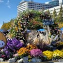 녹수한의원 | [경기 고양] 2023 일산 막걸리 축제 첫날 시음 후기