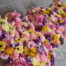 다산하늘초등학교(병설) 이미지