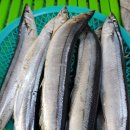 조은수산 이미지