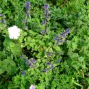 하진식당 이미지