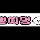 쁘띠댕 이미지