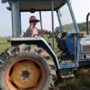 황소농장 이미지