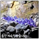 울산 자수정동굴나라, 동굴 안에서 보트 타는 이색 여행 후기