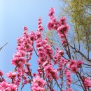 하얀능선 이미지