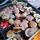 락 민박 이미지