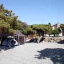 캠프예그리나 이미지