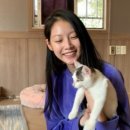 마이펫 동물병원 이미지