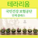 유성구건강증진센터 | 대전 기관 · 기업 단체 출강 추천 "국민건강보험공단" 과 함께 테라리움 힐링 클래스