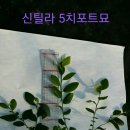 누리팜(주) 이미지