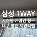 제니스크리닝 이미지