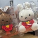 인형천국 | 제주 소품샵 추천 중문 기념품 천국 소랑아시 재방문 후기
