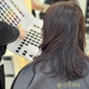 강남대로10길 55 이미지