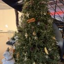 피자모자이크 | [회원제별장]프라이빗한 모자이크 별장 가평트래버틴방문후기