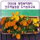 연오농원