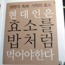 효소지음
