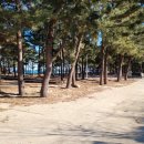 샵21 민박 이미지