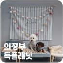 독플래닛 이미지