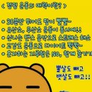 내몸엔점핑 이미지