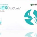 베스트프렌즈 동물병원 이미지