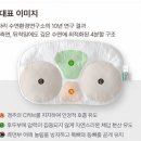경추베개 추천｜이브자리 4분할 베개 실제 사용 후기 장단점 총정리