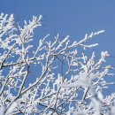 굴비한두름 이미지