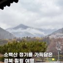 소백산 준 스테이 네이버블로그