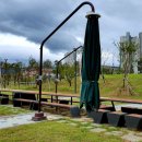 미사한강3호공원 이미지