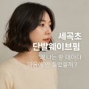 세곡초 | 수원 세곡초 학부모 단발웨이브, 자연스럽고 손질 쉬운 헤어스타일 추천 잘하는 교은쌤
