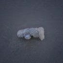 펫츠아일랜드 수월점 이미지