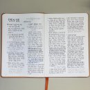 독서를 통한 행복 찾기 이미지