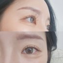 동춘당로114번길 | 송촌동 속눈썹 추천 브로우아이 펌포인트연장 후기 자연스럽게 또렷한 눈 완성