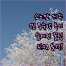 씨오르 리조트 | 소노캄 제주 완전 분석! 실제 투숙객 후기 &amp; 숨겨진 꿀팁 대방출!