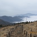 개굴개굴 이미지