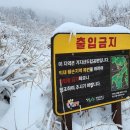 샘물상회 이미지