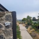 스테이 안도감 제주 이미지