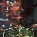 GS25 연제브라운점 | GS25 로로 멜로 아이스 생초콜릿 말차 맛, 먹어본 후기