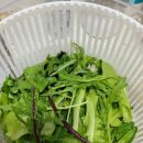 채열농장 이미지