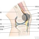 가디언 오브 갤럭시 PT 이미지