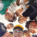 연평초중고등학교