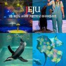 가족과 함께하는 문화체험(6월) | 제주도 서귀포 가볼만한곳 5월 연휴 제주 아쿠아플라넷 공연 시간