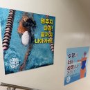 하나정보 | 대구 일요일 자유수영 가능한 동촌아쿠아수영장 정보/후기 (광복절 연휴 운영하나요?)