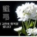 혜성화원 이미지