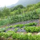 선애황토방 이미지