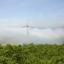 야생화답사 이미지